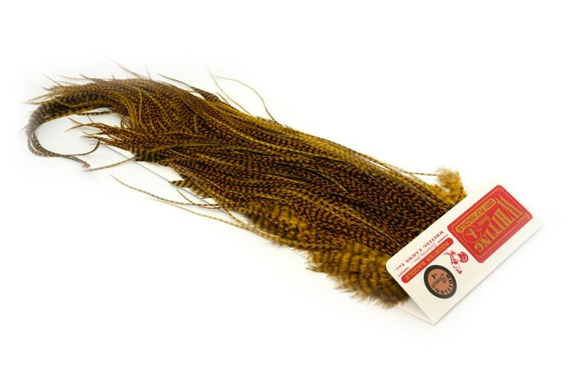 Whiting Farms Rooster Bronze Saddle - Imagen 37 de 52