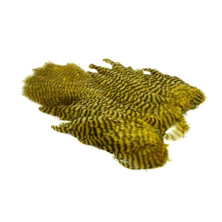 Grizzly teñido Golden Olive