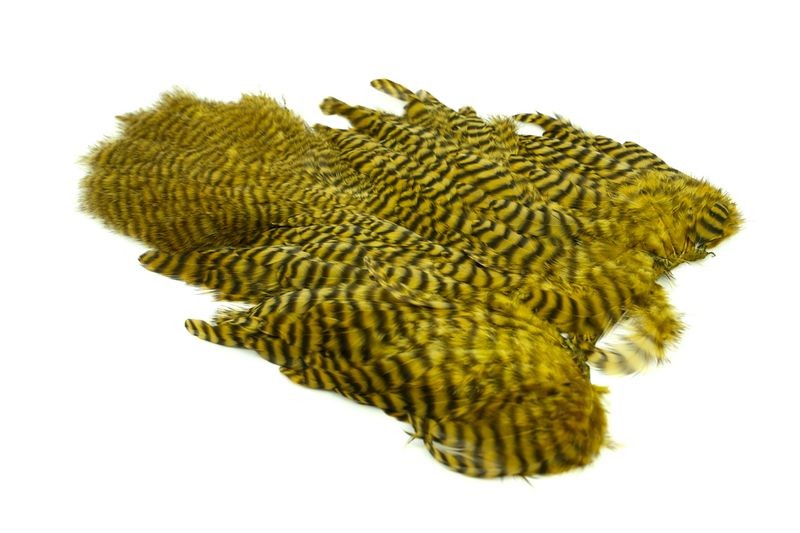 Gallo de Whiting Farms Soft Hackle Chickabou - Imagen 4 de 55