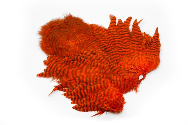 Gallo de Whiting Farms Soft Hackle Chickabou - Imagen 5 de 55