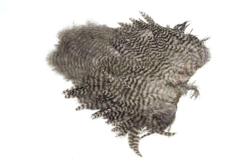 Gallo de Whiting Farms Soft Hackle Chickabou - Imagen 6 de 55