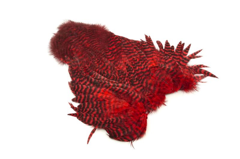 Gallo de Whiting Farms Soft Hackle Chickabou - Imagen 7 de 55