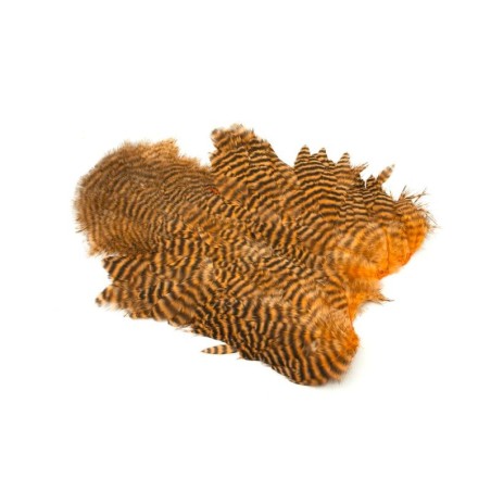 Grizzly Shrimp teñido de naranja