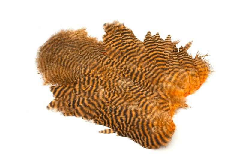 Gallo de Whiting Farms Soft Hackle Chickabou - Imagen 9 de 55