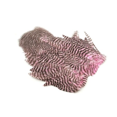 Grizzly teñido Shell Pink