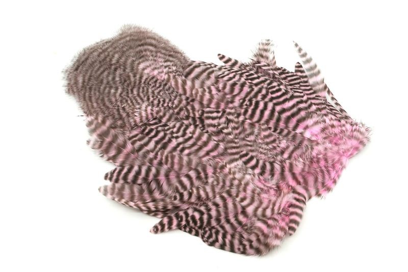 Gallo de Whiting Farms Soft Hackle Chickabou - Imagen 10 de 55