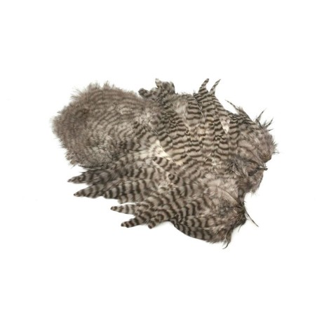 Grizzly teñido Gris Garza