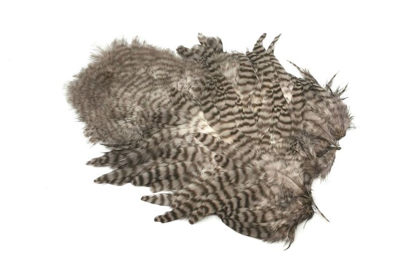 Gallo de Whiting Farms Soft Hackle Chickabou - Imagen 13 de 55