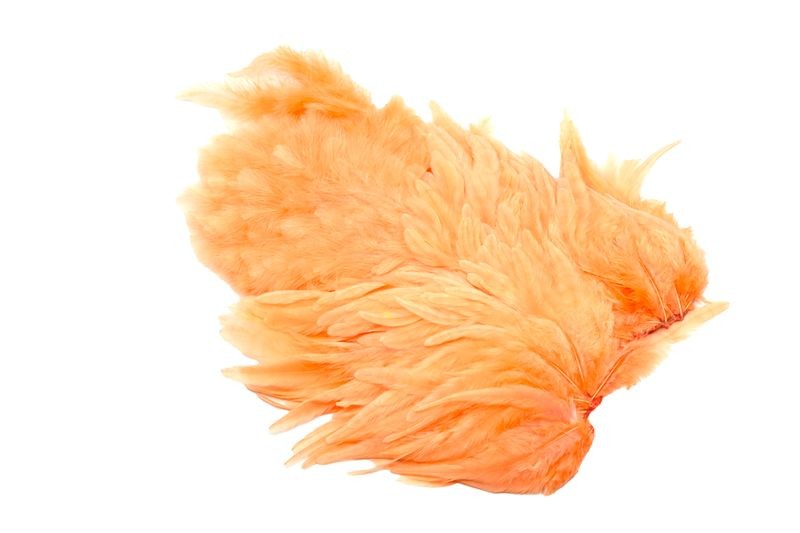 Gallo de Whiting Farms Soft Hackle Chickabou - Imagen 15 de 55
