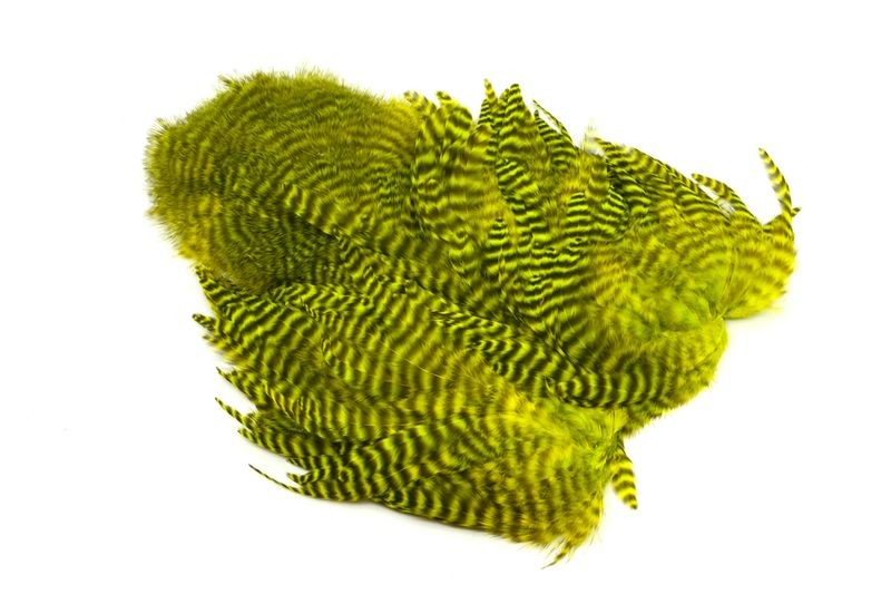 Gallo de Whiting Farms Soft Hackle Chickabou - Imagen 20 de 55
