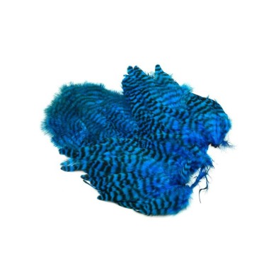 Grizzly teñido de azul Kingfisher