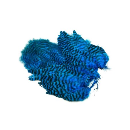 Grizzly teñido de azul Kingfisher