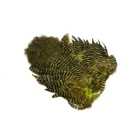 Grizzly teñido de oliva oscuro