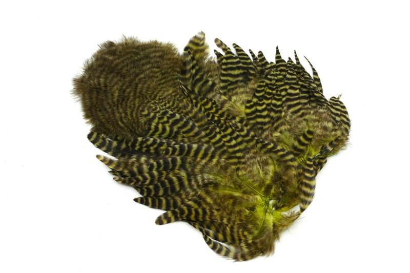 Gallo de Whiting Farms Soft Hackle Chickabou - Imagen 25 de 55