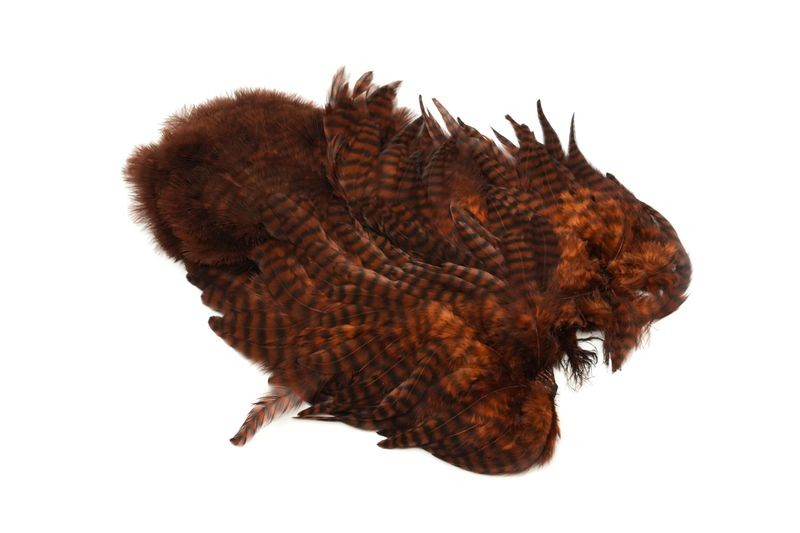 Gallo de Whiting Farms Soft Hackle Chickabou - Imagen 28 de 55