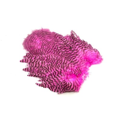 Grizzly teñido de rosa