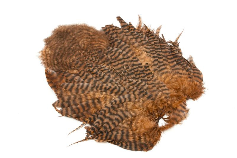 Gallo de Whiting Farms Soft Hackle Chickabou - Imagen 32 de 55