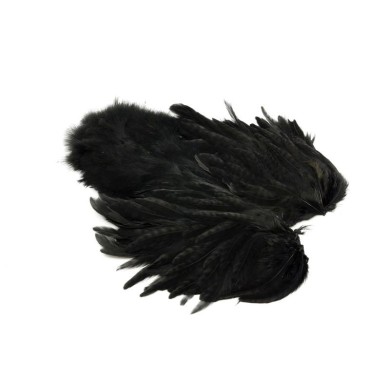 Negro