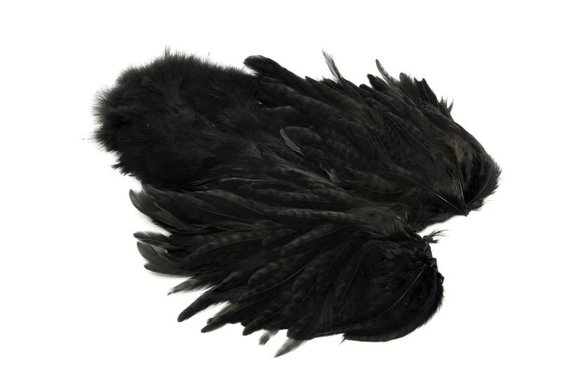 Gallo de Whiting Farms Soft Hackle Chickabou - Imagen 34 de 55