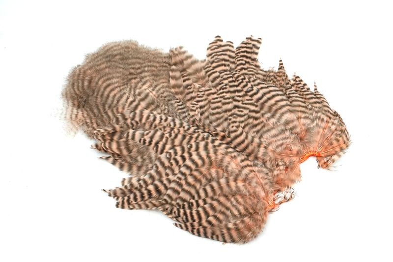 Gallo de Whiting Farms Soft Hackle Chickabou - Imagen 36 de 55