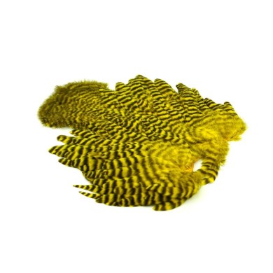 Grizzly teñido de amarillo