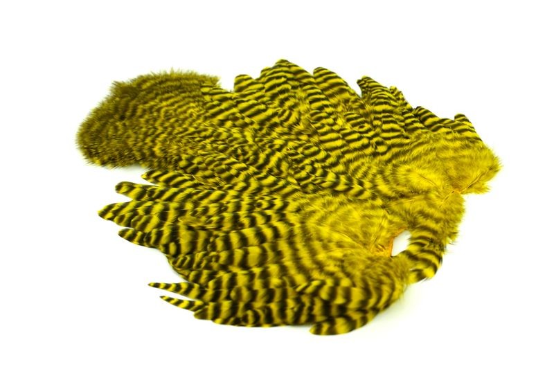 Gallo de Whiting Farms Soft Hackle Chickabou - Imagen 39 de 55