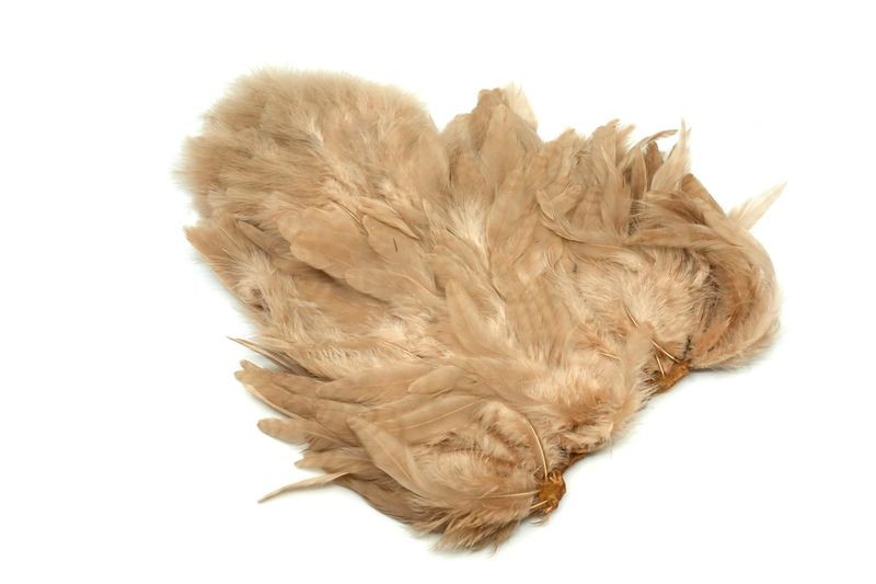 Gallo de Whiting Farms Soft Hackle Chickabou - Imagen 40 de 55