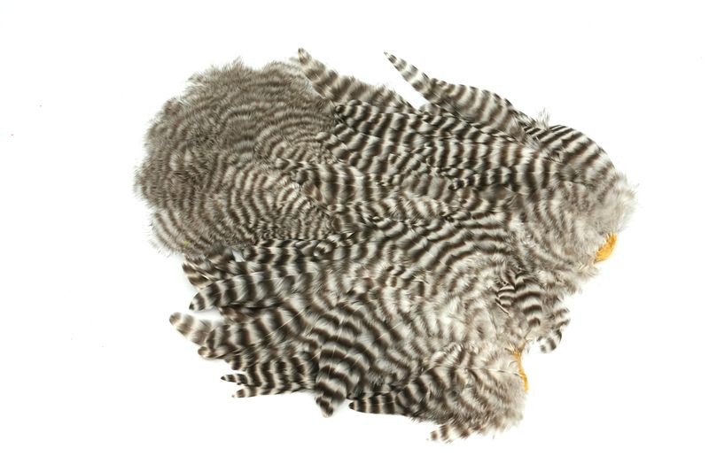 Gallo de Whiting Farms Soft Hackle Chickabou - Imagen 42 de 55