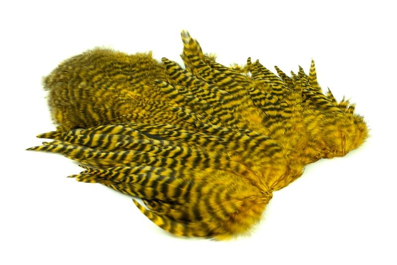 Gallo de Whiting Farms Soft Hackle Chickabou - Imagen 43 de 55
