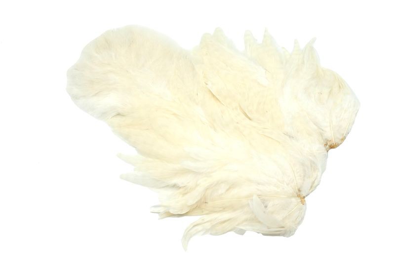 Gallo de Whiting Farms Soft Hackle Chickabou - Imagen 44 de 55