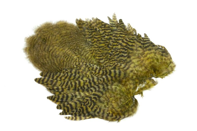 Gallo de Whiting Farms Soft Hackle Chickabou - Imagen 45 de 55