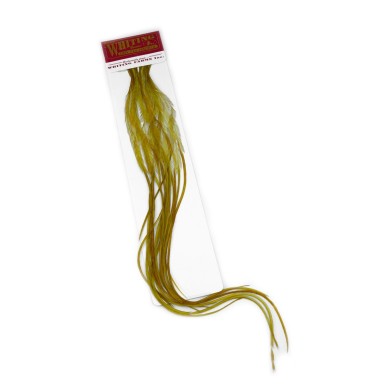 Size 18 - White dyed Golden Olive