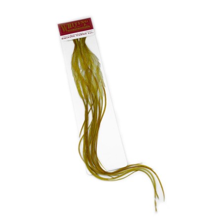 Size 18 - White dyed Golden Olive