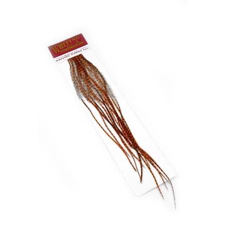 Size 14 - Grizzly dyed Burnt Orange