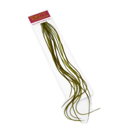 Size 12 - White dyed Dark Olive