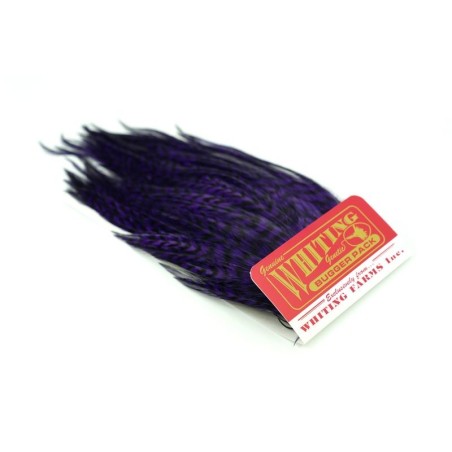Grizzly dyed Purple