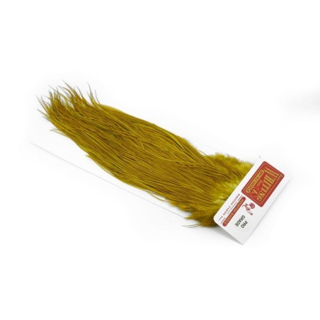 White dyed Golden Olive