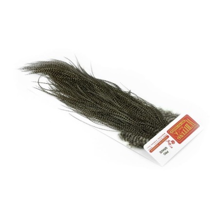 Grizzly teñido Dun