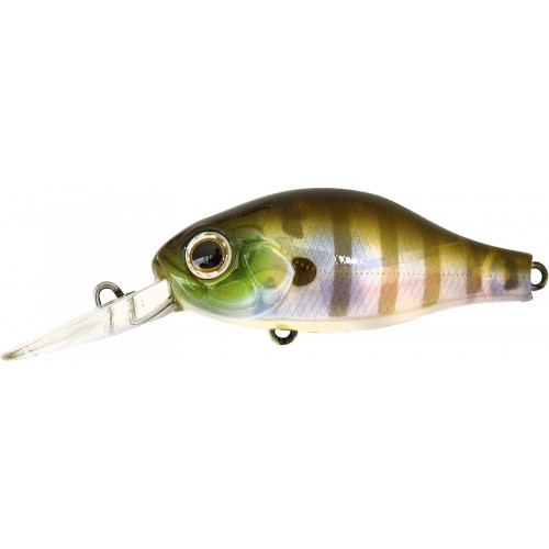 082 Ghost Gill