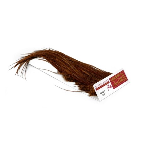 Grizzly dyed Brown