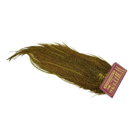 Grizzly dyed Golden Olive