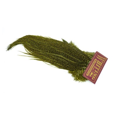 Grizzly teñido de oliva