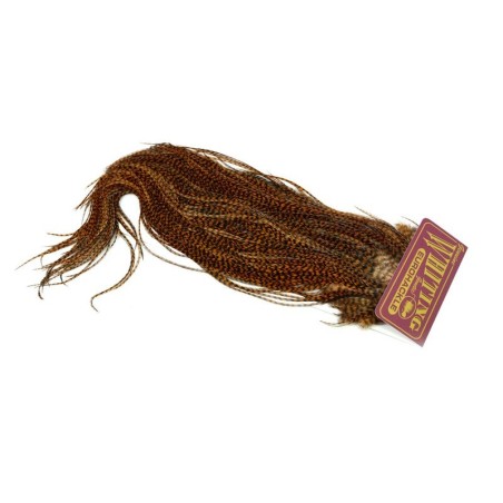 Grizzly dyed Brown