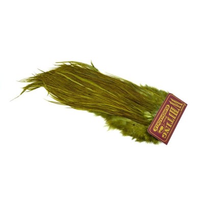 Blanco teñido de oliva oscuro