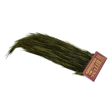Grizzly teñido de oliva oscuro