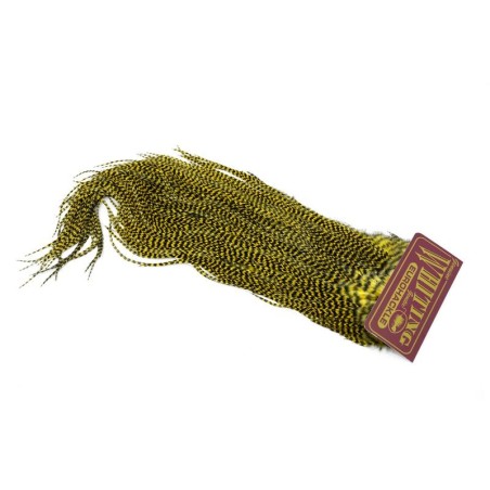 Grizzly dyed Pale Yellow