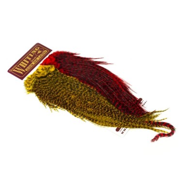 Grizzly Pardo Rojo y Amarillo