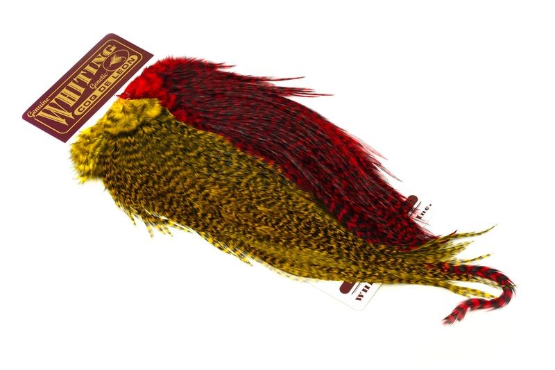 Whiting Farms Coq de Leon Predator Pack - Imagen 6 de 8