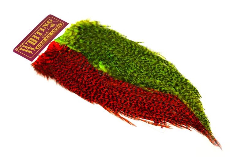Whiting Farms Coq de Leon Predator Pack - Imagen 7 de 8