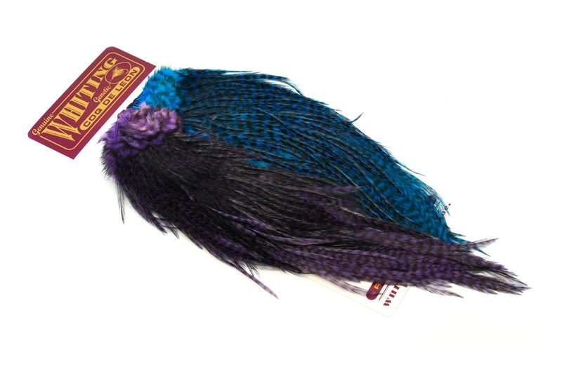 Whiting Farms Coq de Leon Predator Pack - Imagen 8 de 8
